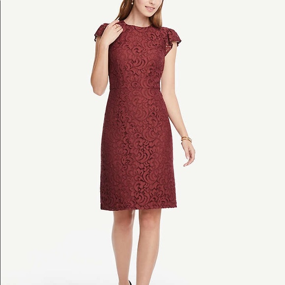 Lace Dress - Picture 1 of 3